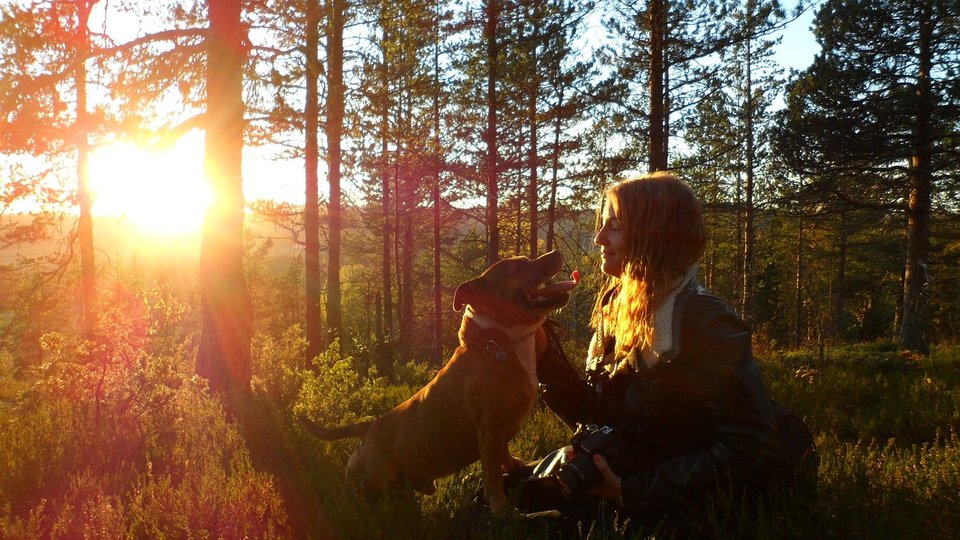 10 Things Our Dogs Teach Us About Healthy Communication